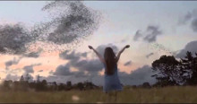Sky TV: Murmuration